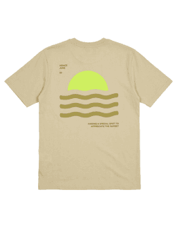 Remera Niño Zara 11-12 años