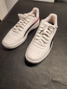 Zapatillas Hombre Marca Puma Exelente Estado