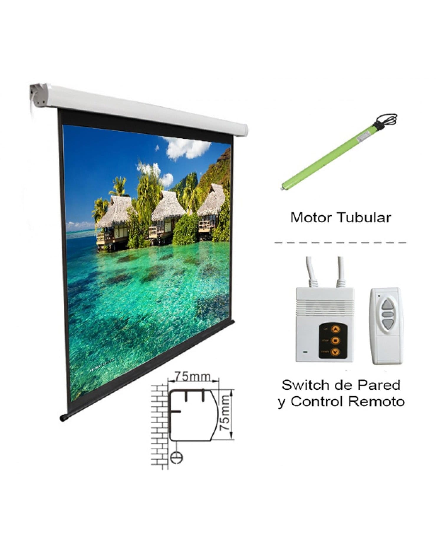 PANTALLA INTELAID PROYECTOR ELECTRICA 3 X 2.20 IT-PSE150