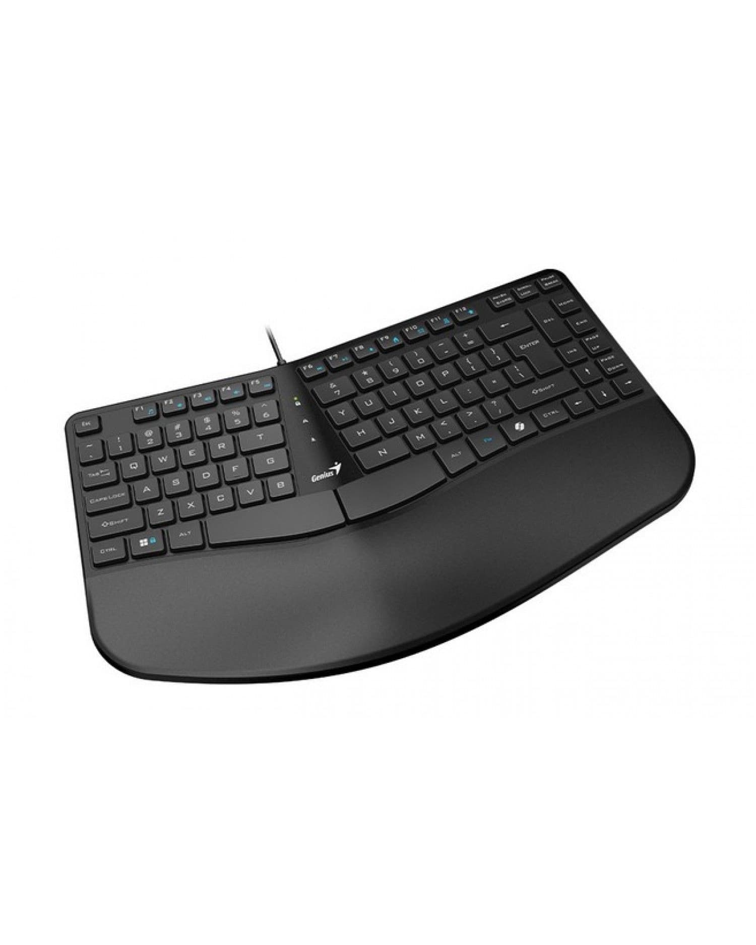 TECLADO CURVO ERGONOMICO GENIUS ERGO KB-700 BLACK USB